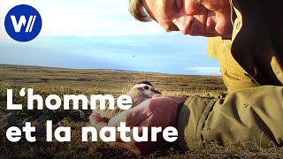 Amitié et complicité rare entre un oiseau et un homme