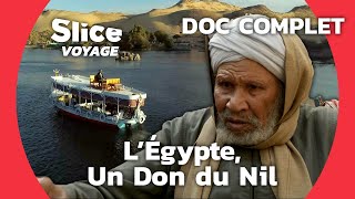 Au fil du Nil : le serpent vert de l’Égypte