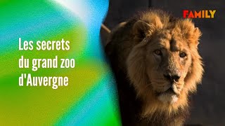 Aventures animales : les secrets du plus grand zoo d'Auvergne