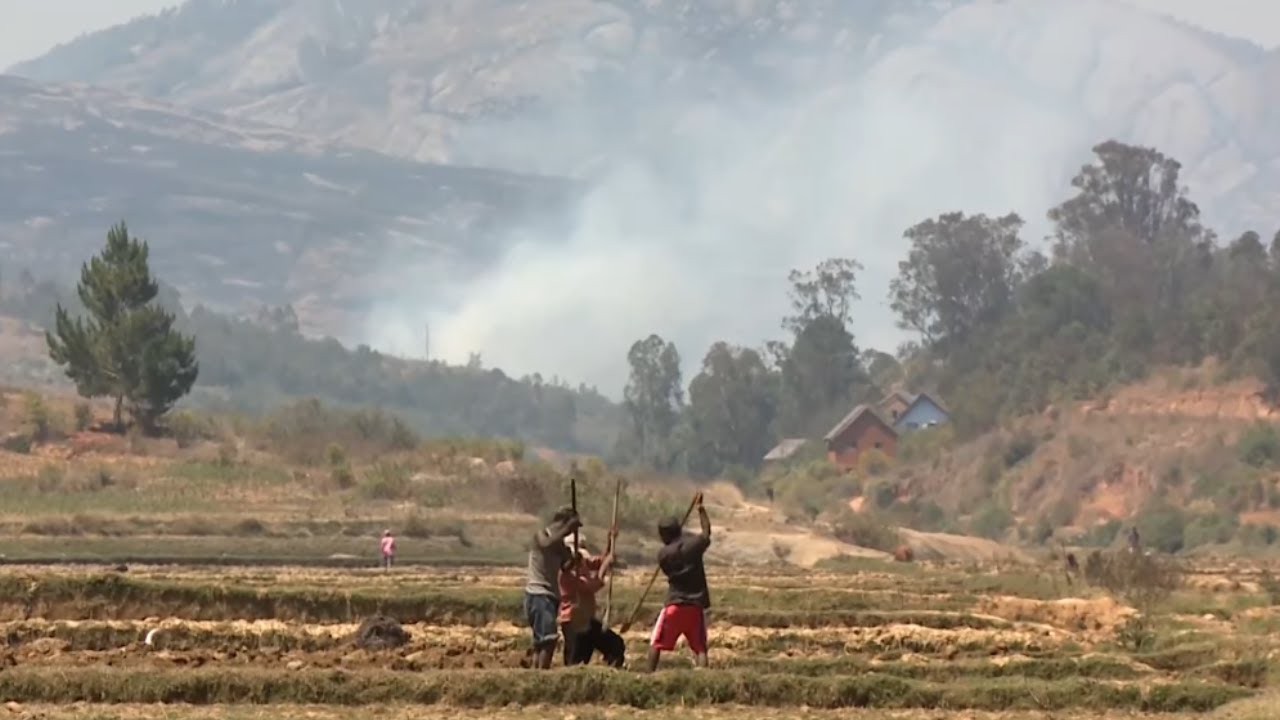 Cette île qui disparait à petit feu