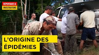 Chasseurs de Virus - L'origine des pandémies