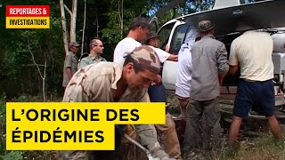 Documentaire Chasseurs de Virus – L’origine des pandémies