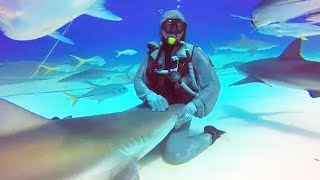Documentaire Elle a une relation spéciale avec un requin
