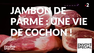 Jambon de Parme, une vie de cochon !