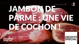 Documentaire Jambon de Parme, une vie de cochon !