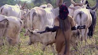 Documentaire Il défend son troupeau à la kalash