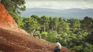 Documentaire Insectes géants, dinosaures à plumes, oiseaux archaïques : une nouvelle préhistoire