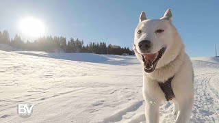 Documentaire Jura – Balades dans les Hautes Combes