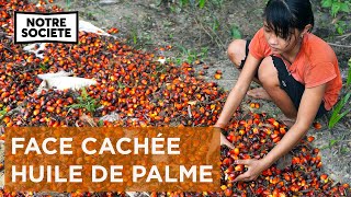 Documentaire Le drame de l’huile de palme : menaces invisibles