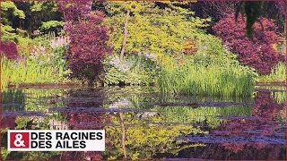 Le jardin de Monet à Giverny