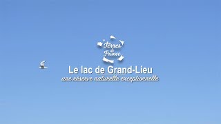 Documentaire Le lac de Grand-Lieu, une réserve naturelle exceptionnelle