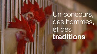 Le poulet roi