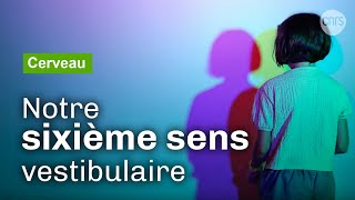 Le système vestibulaire, un sixième sens méconnu