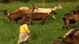 Documentaire Les fermes d’autrefois – la chèvre