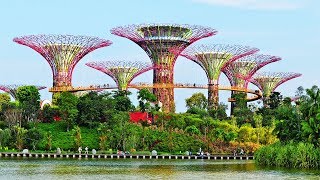 Documentaire Les incroyables jardins artificiels de Singapour