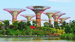Les incroyables jardins artificiels de Singapour