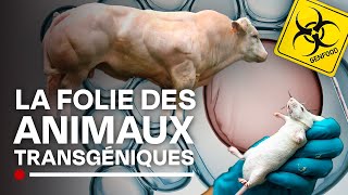 Documentaire Manipulations génétiques : la science au secours de l’humanité  ?