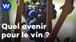Documentaire Réchauffement climatique : quels impacts sur le vin et pour l’industrie viticole ?