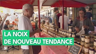 Documentaire Gastronomie, la noix, ses nombreuses vertus