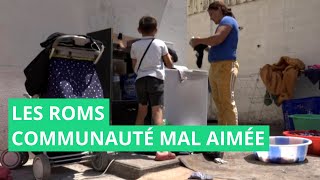 Immersion chez les roms de Marseille