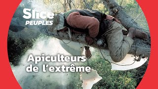 Risquer sa vie pour Récolter du Miel