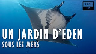 Documentaire Un jardin d’éden sous les mers