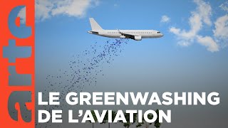 Vols écolos, des promesses en l'air ?