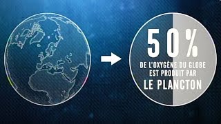 Vous devez la vie au plancton !