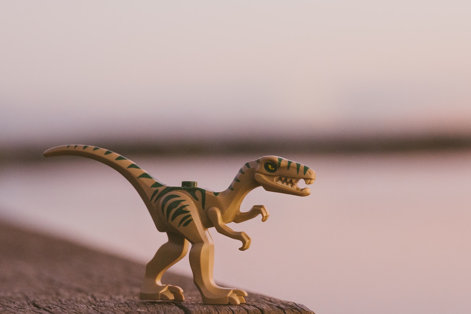 La mystérieuse histoire des rhabdodontidés, des dinosaures européens