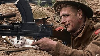 Documentaire 39-45 Soldats et animaux pendant la Seconde Guerre mondiale