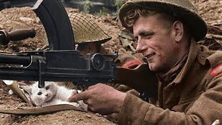 39-45 Soldats et animaux pendant la Seconde Guerre mondiale