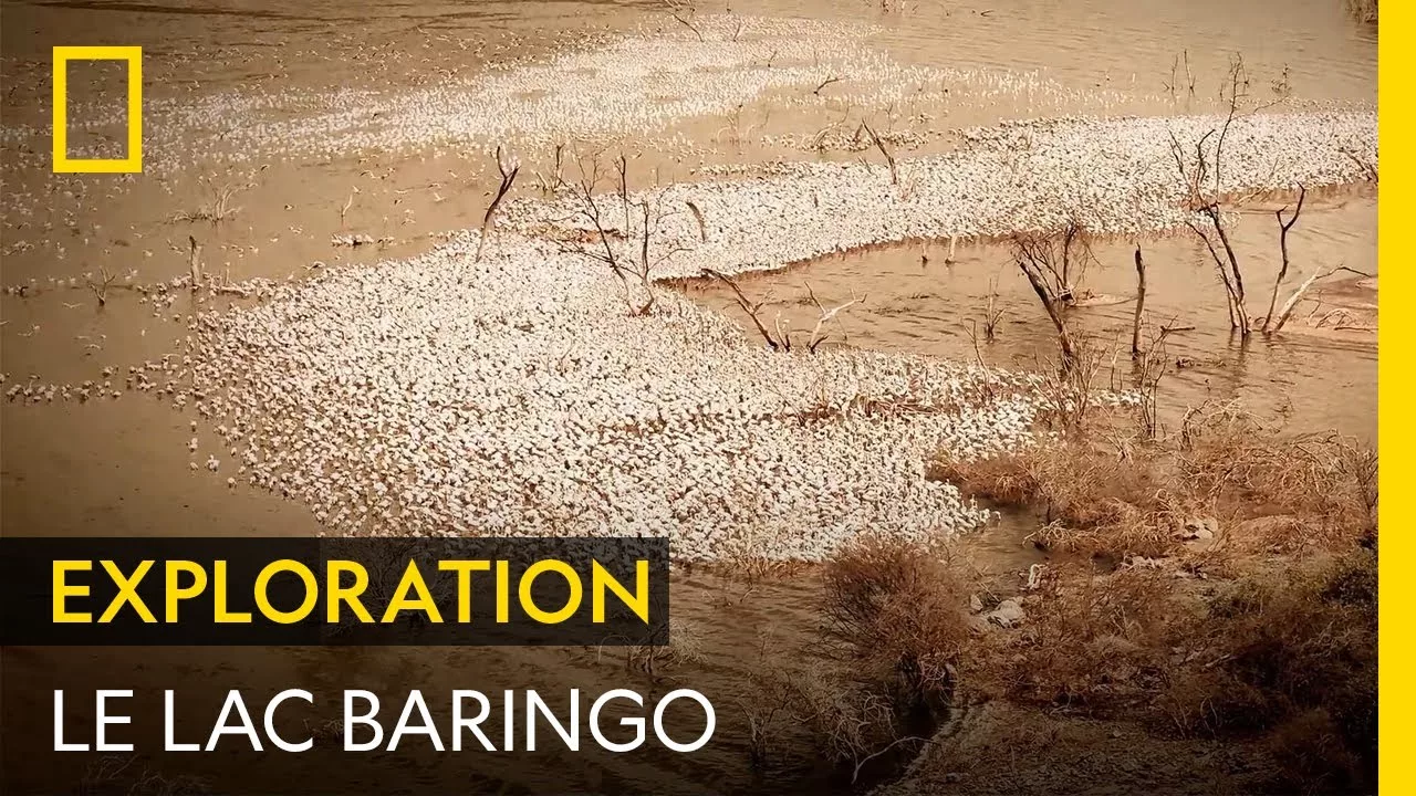 À la découverte du magnifique mais dangereux lac Baringo, au Kenya