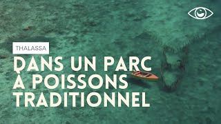 À quoi ressemble un parc à poissons traditionnel ?