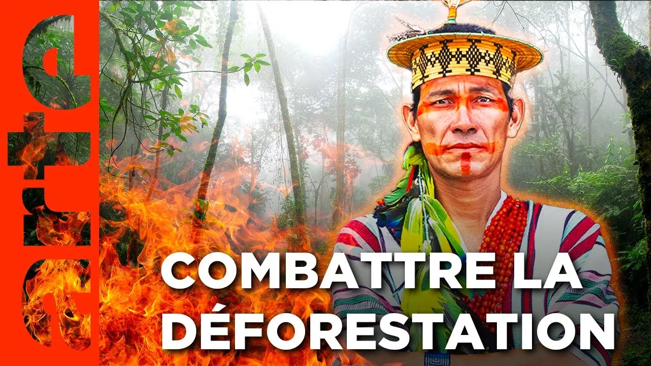 Brésil, replanter l'Amazonie  - Gardiens de la forêt