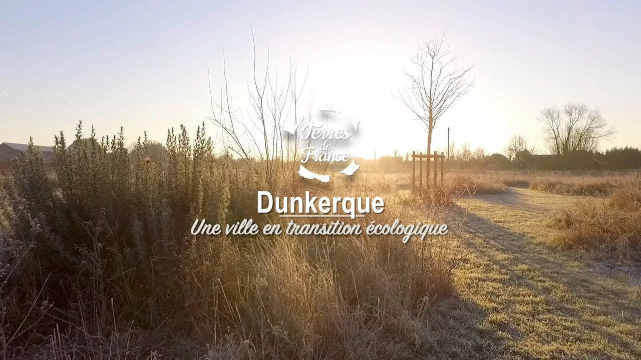 Documentaire Dunkerque, une ville en transition écologique