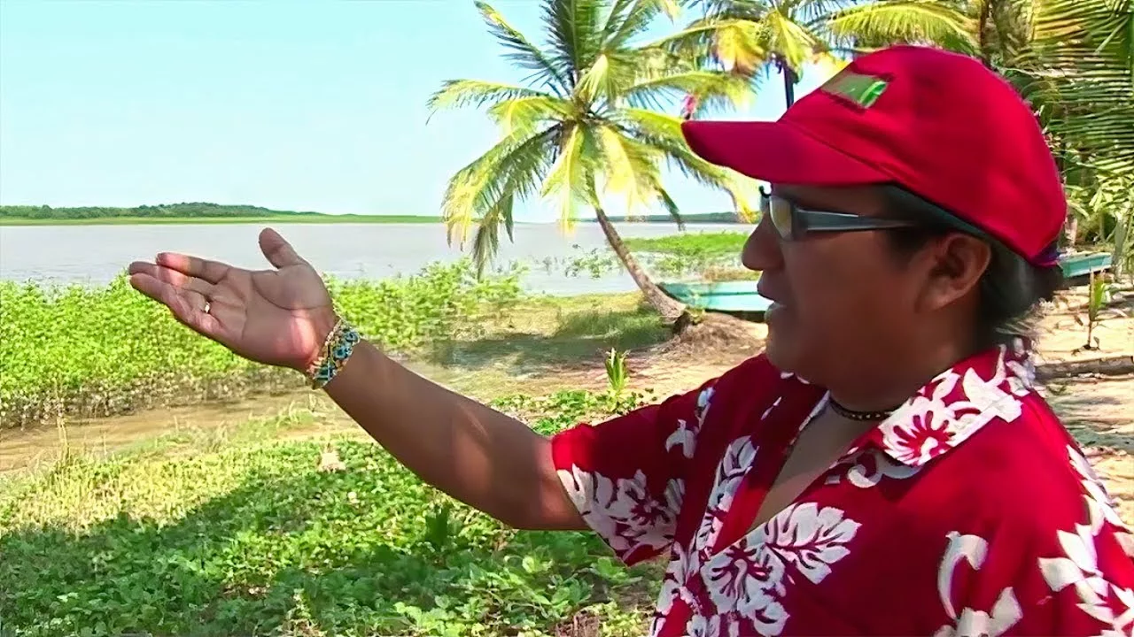 Documentaire Guyane : la menace grandissante de l’océan