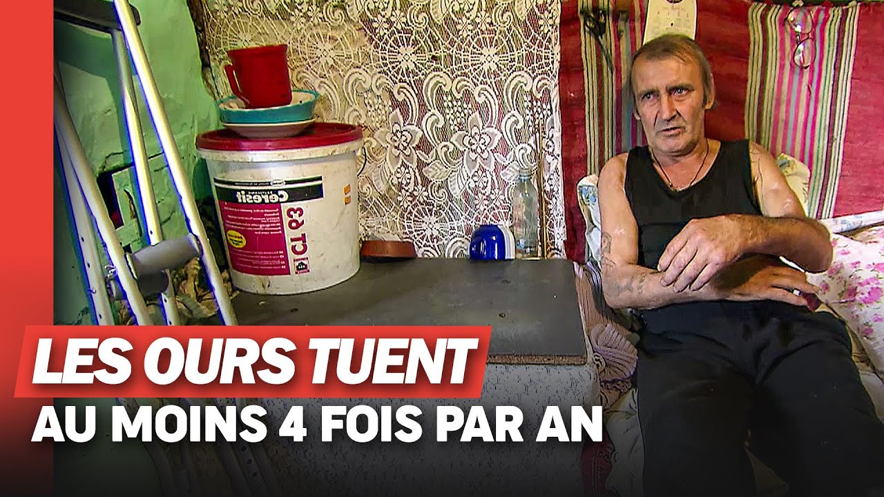 Il a failli se faire bouffer par un ours