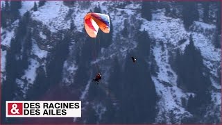 Documentaire Il vole avec les aigles dans les Alpes