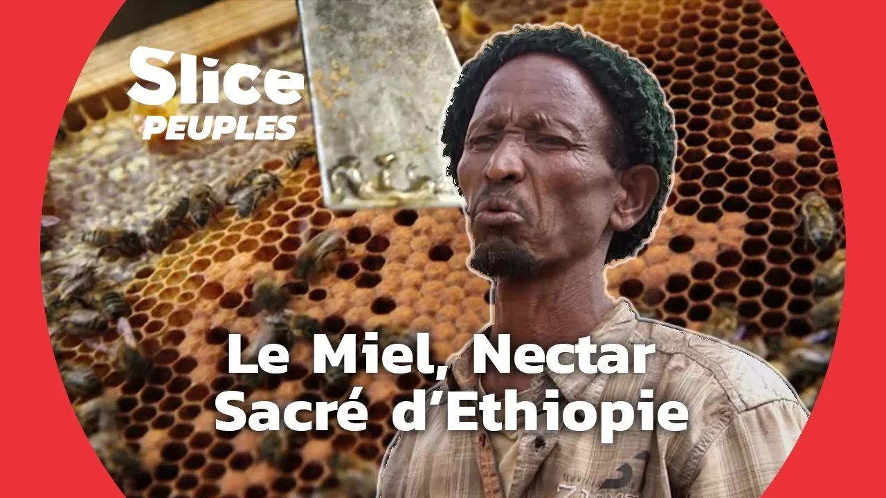 Documentaire La culture du miel : un savoir faire ancestral