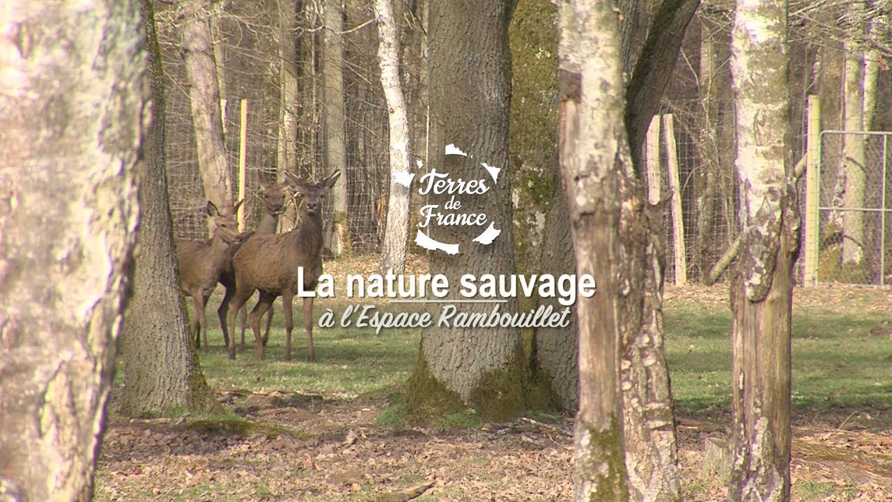 Documentaire La nature sauvage à l’Espace Rambouillet