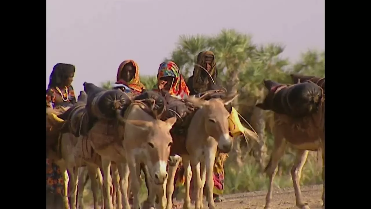 Documentaire La vie dépaysante de Djibouti