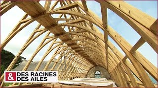 Documentaire L’abbaye des Anges : un trésor qui renaît en Bretagne