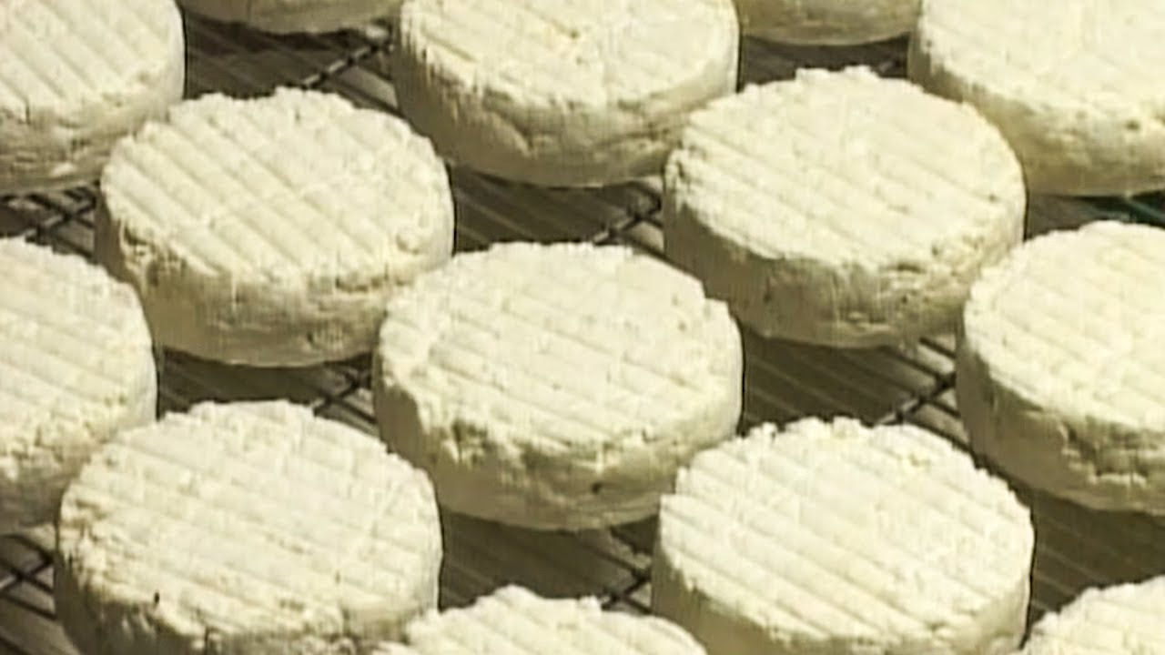 Le Rocamadour, un fromage digne de sa réputation