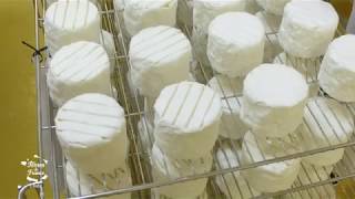 Documentaire Le fromage de Chaource
