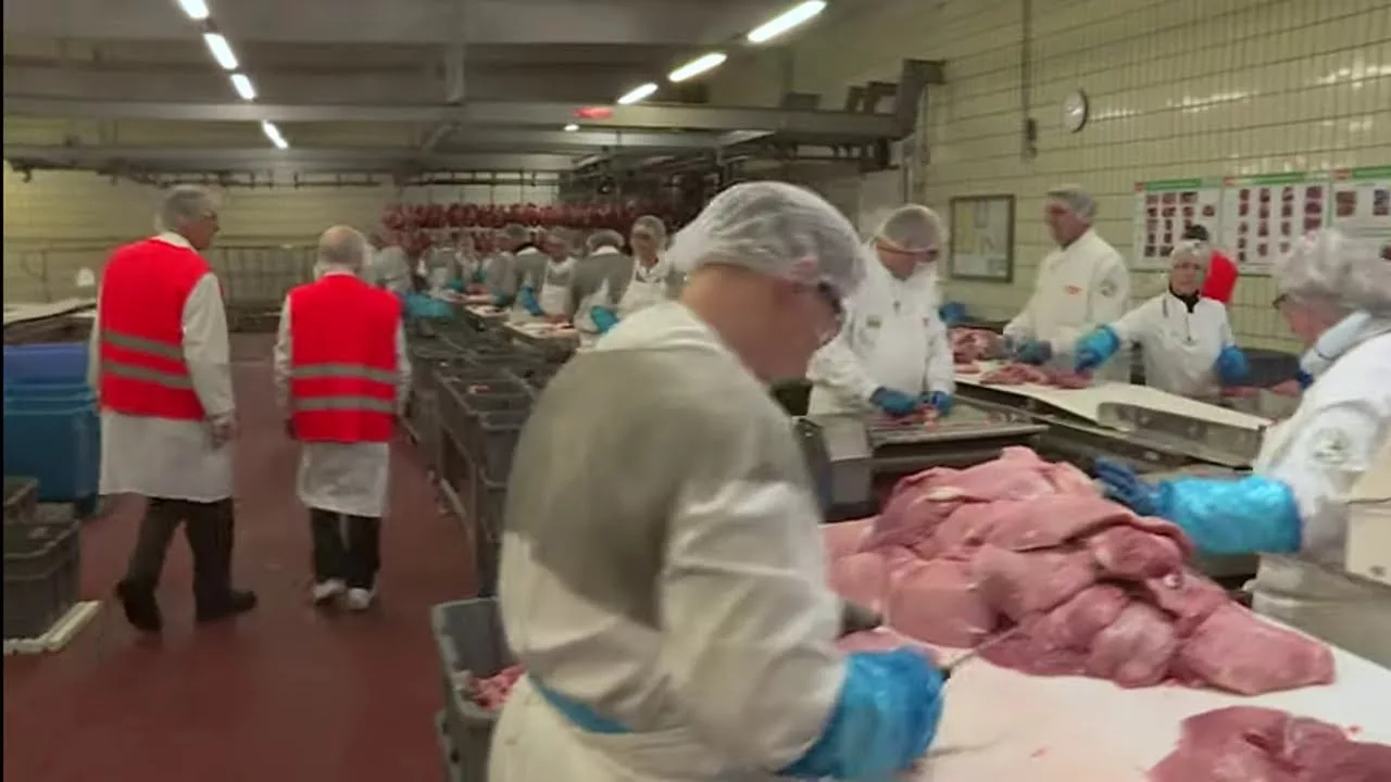 Documentaire Le jambon, enquête sur la phase inquiétante de sa fabrication