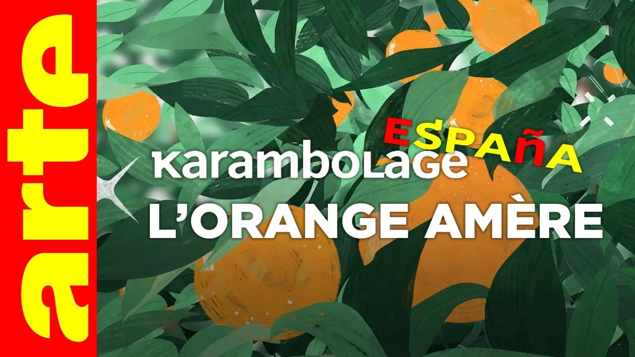 Documentaire L’orange amère