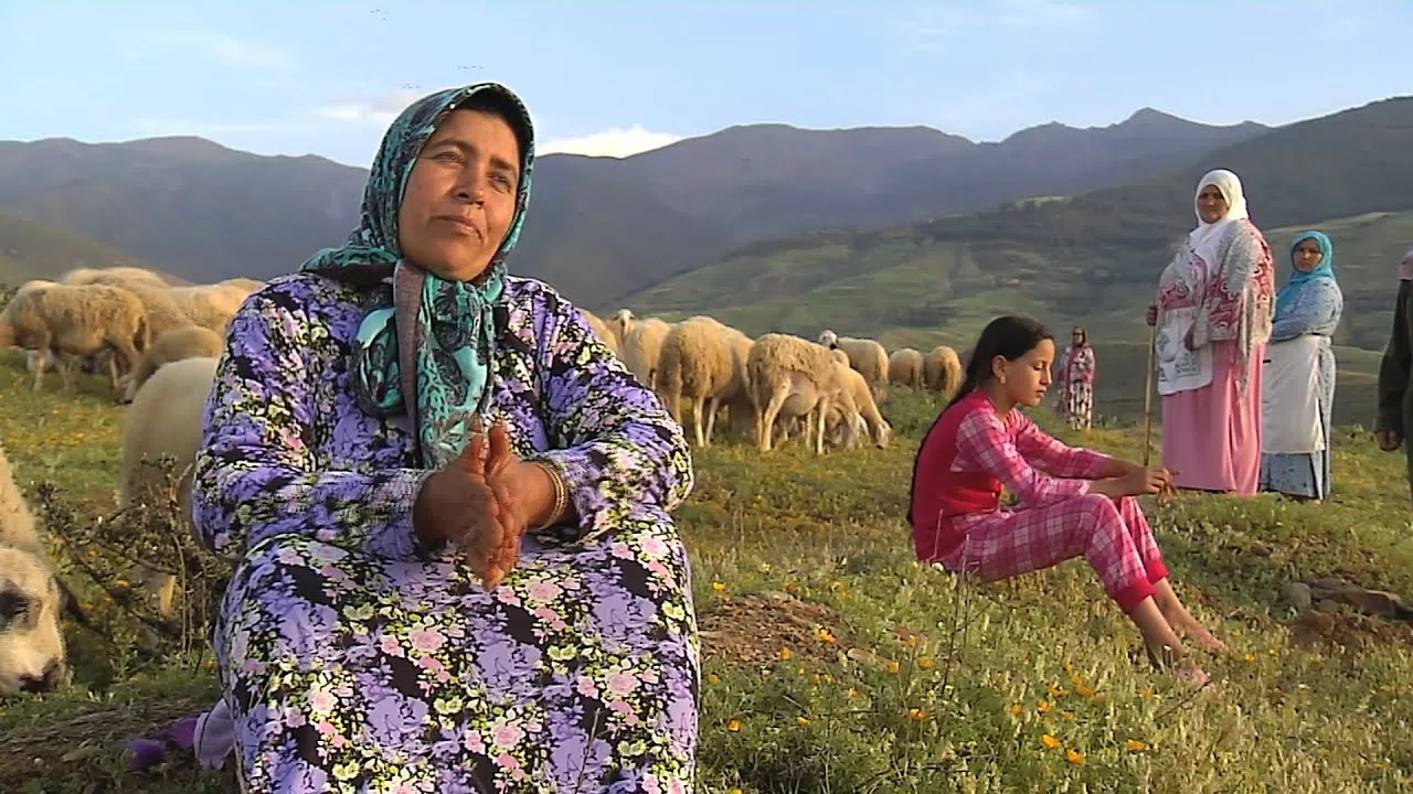 Documentaire Maroc : deux moutons