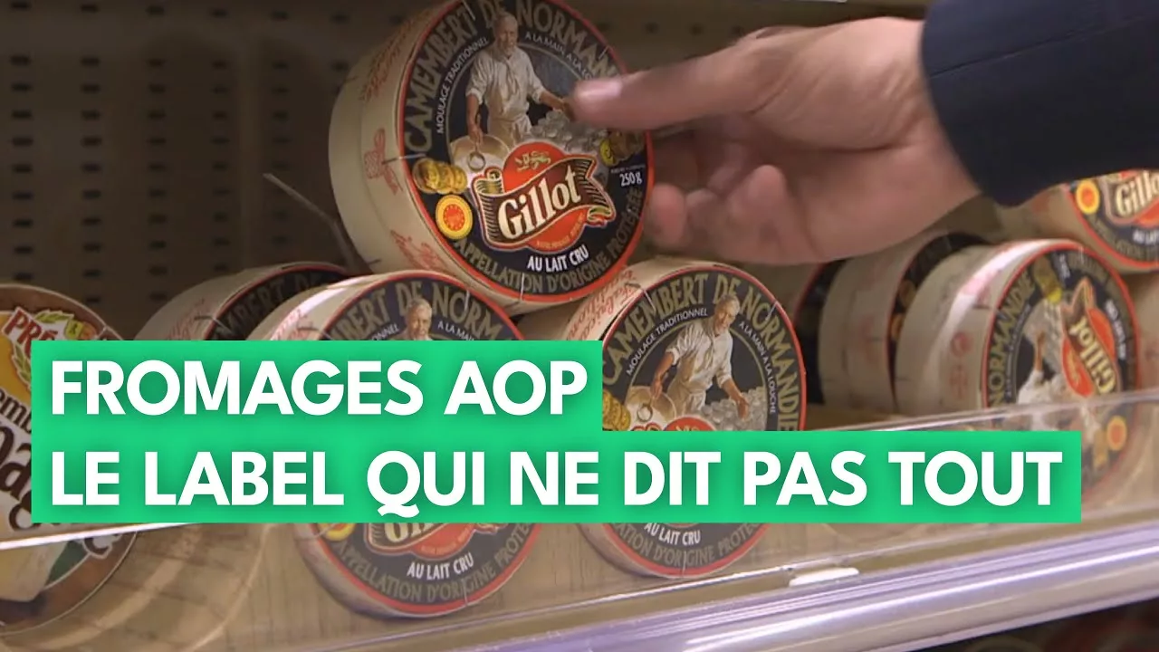 Documentaire Les fromages AOP, authenticité garantie ?