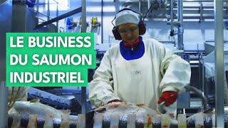 L'industrie du saumon toujours plus rentable, au détriment des consommateurs?