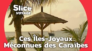 Saint-Vincent au fil des Grenadines : les joyaux méconnus des Caraïbes